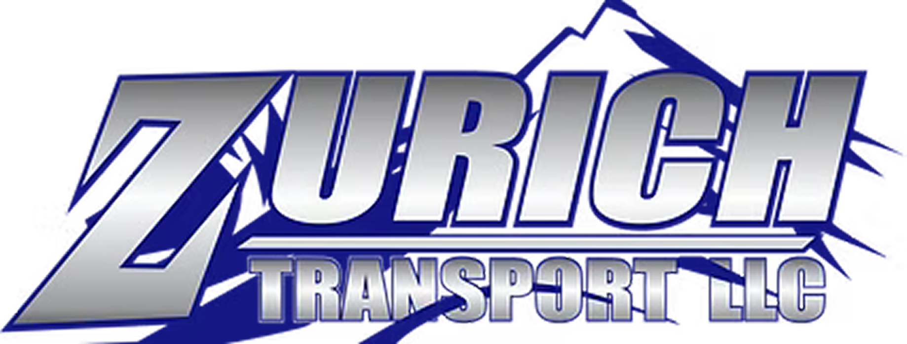 zurich transport logo 1 1